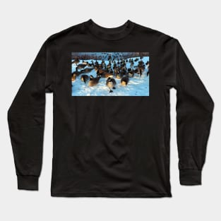 Mallard Duck and Canada Goose Flock In The Snow Long Sleeve T-Shirt